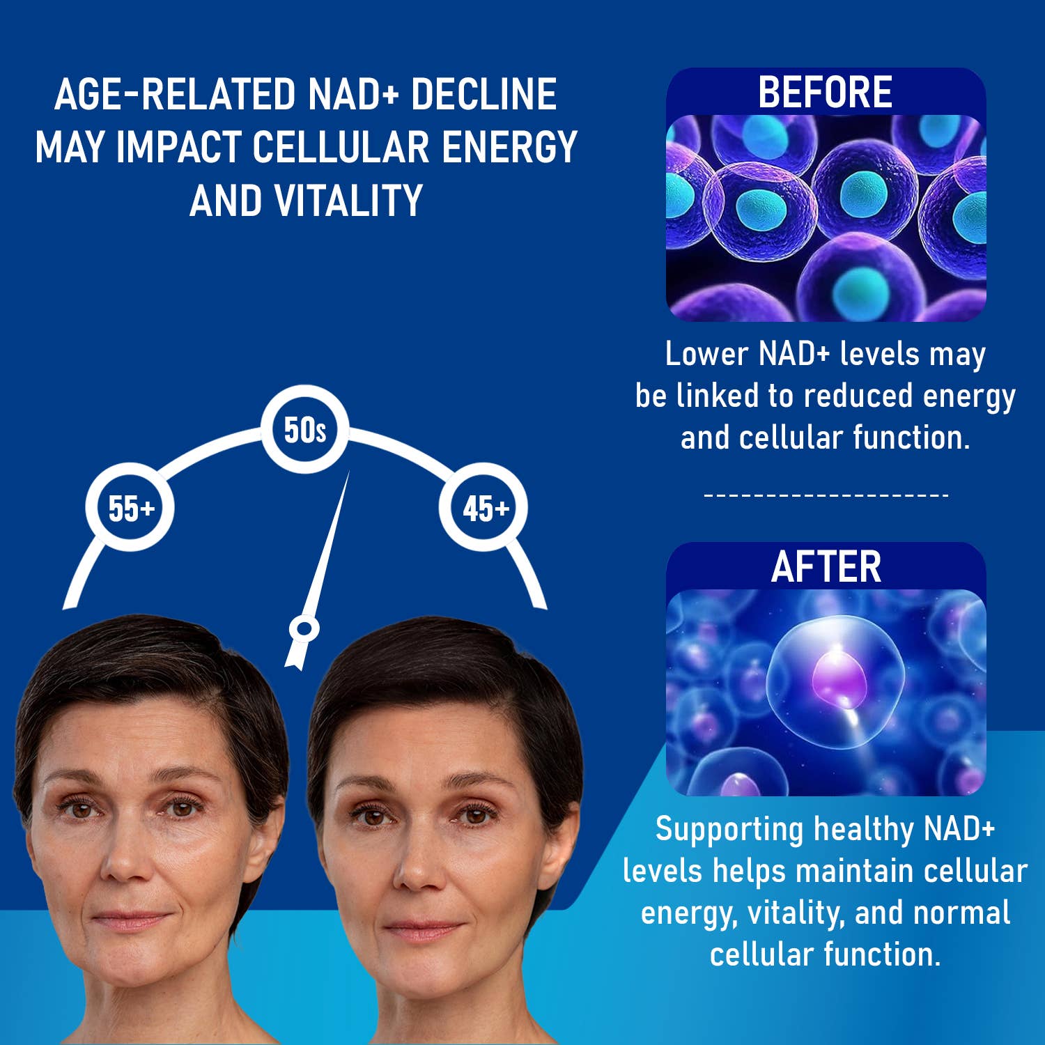 Harmonify Liposomal NAD+ Liquid Drops — 1000mg NR + Resveratrol & Quercetin