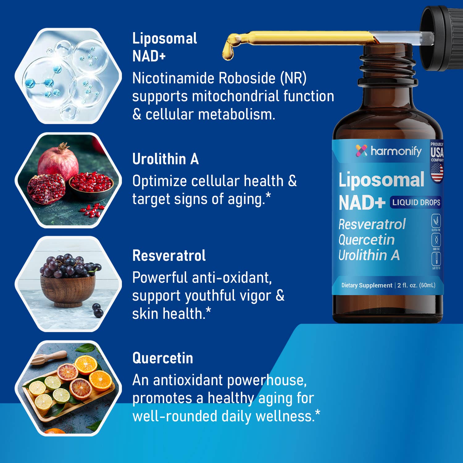 Harmonify Liposomal NAD+ Liquid Drops — 1000mg NR + Resveratrol & Quercetin