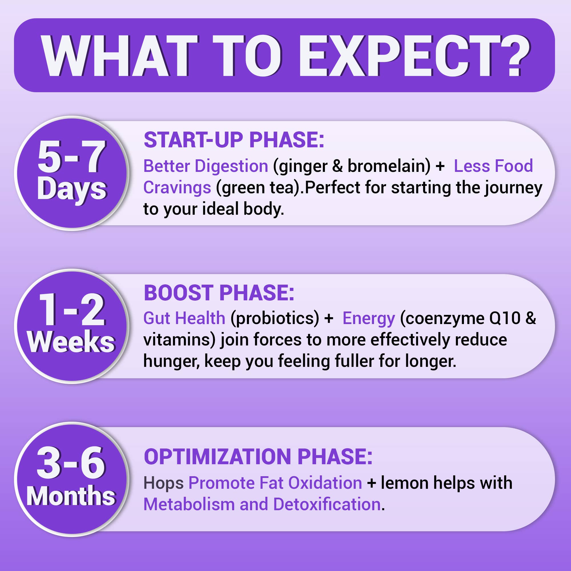 Harmonify GLP-1 Support Supplement — Hops, Green Tea & Synbiotics