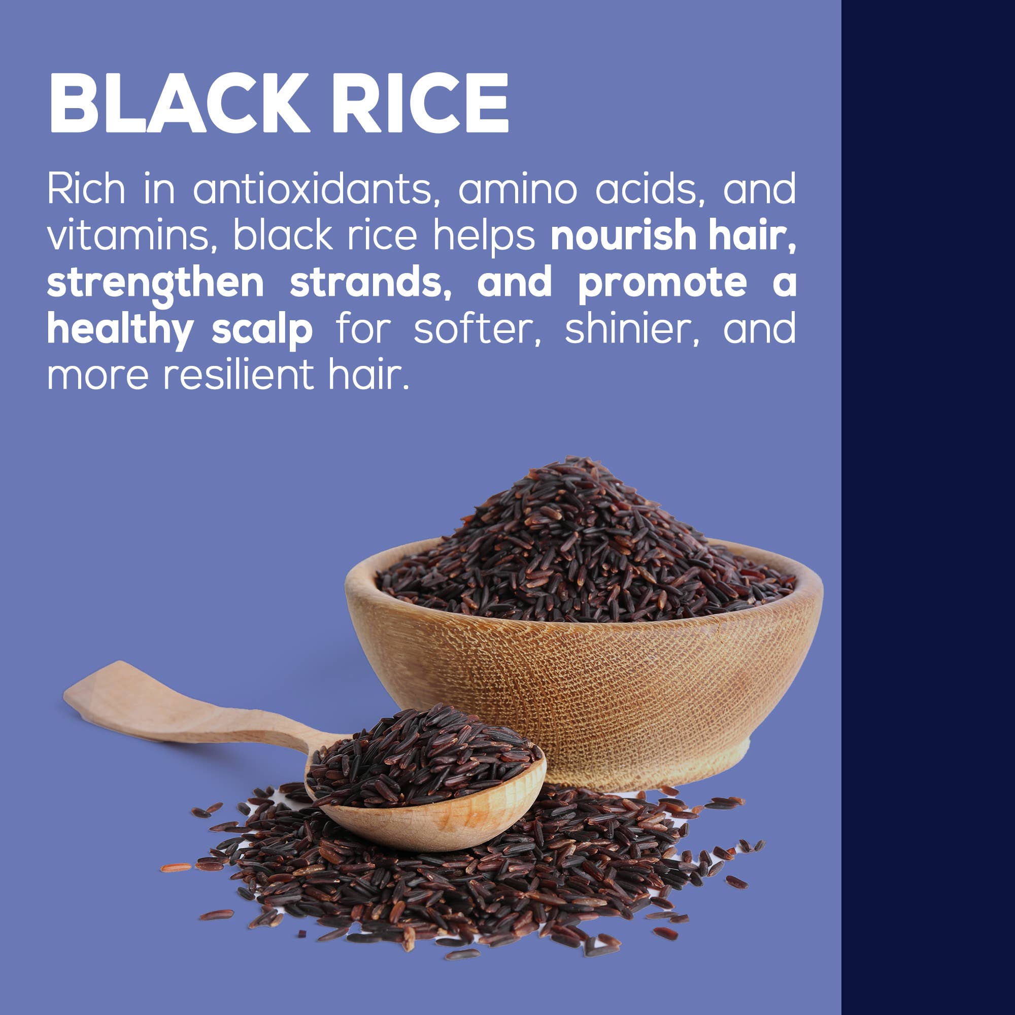 Harmonify Black Rice Water Spray — Korean Fermented Hair Growth Serum