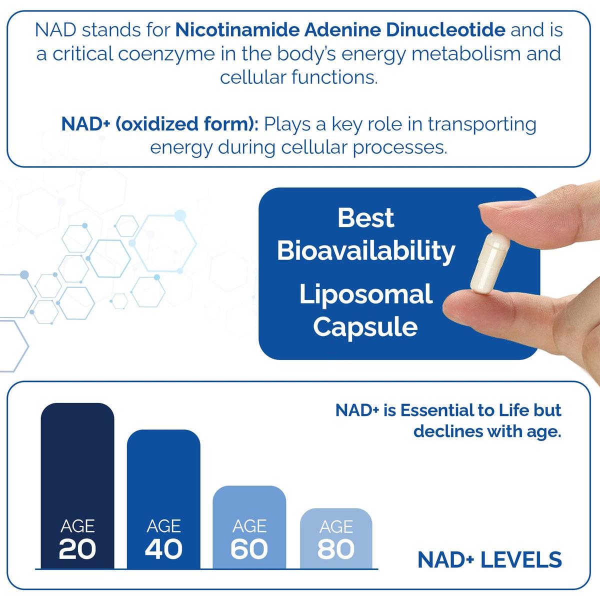 NAD+ Supplement 500mg